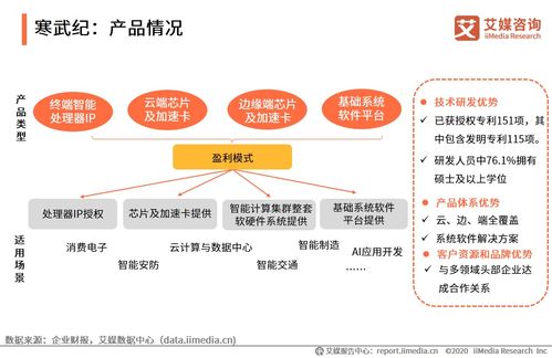 2020上半年中國人工智能芯片行業(yè)研究報告與技術交流