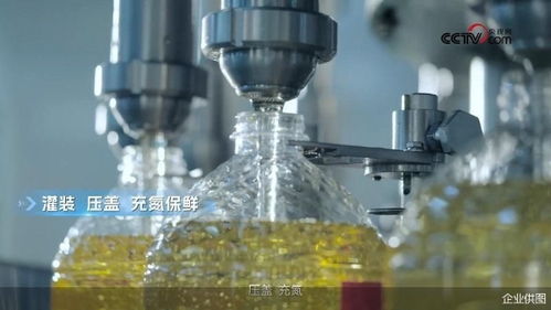 央視網(wǎng)探訪多力安心工廠 揭秘降低油煙技術(shù)專利背后的創(chuàng)新奧秘