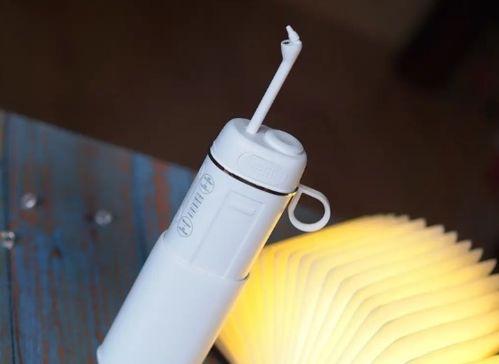 沖牙器選購指南 哪些品牌值得信賴？